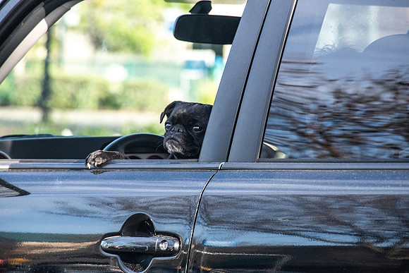Low Rider