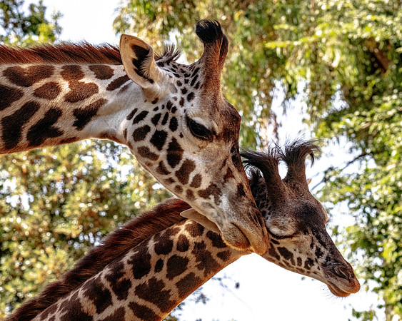 Mother Shani with 5 month old Cheyenne share a tender moment