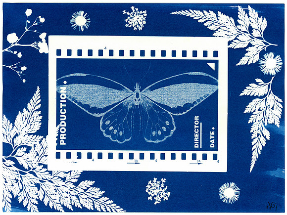 "Happily Ever After" / 2024 / Cyanotype 5"x7" paper
