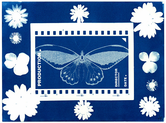 "Fun" / 2024 / Cyanotype 5"x7" paper