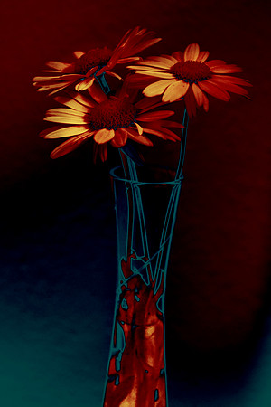 Burning Daisies