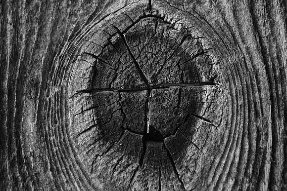 Nature's Thumbprint