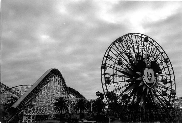Mouse in A Wheel