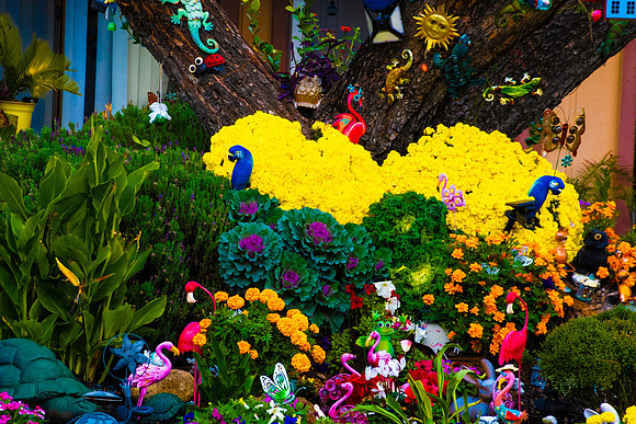 Colors of Life
