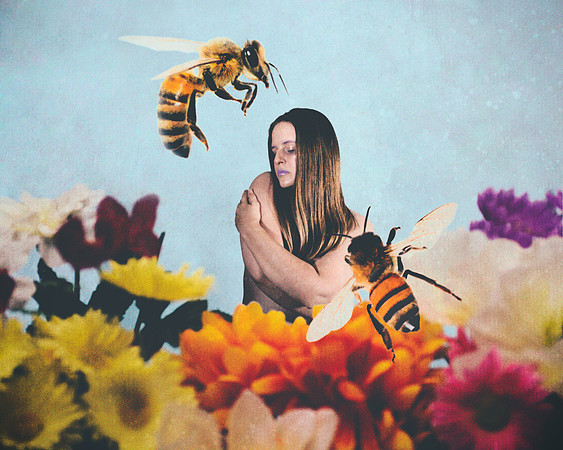 Honey Bee