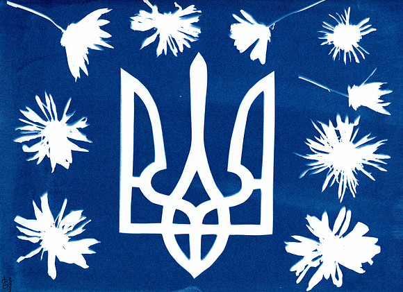 "For Ukraine #1" / 2023 / Cyanotype 12"x9" paper