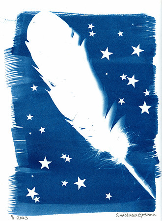 "Feather" / 2023 / Cyanotype 12"x9" paper