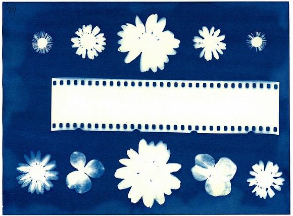 "Memory" / 2024 / Cyanotype 5"x7" paper