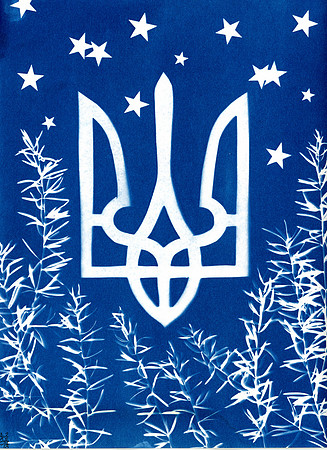 "For Ukraine #2" / 2023 / Cyanotype 12"x9" paper