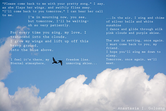 "Freedom Bound" / 2021