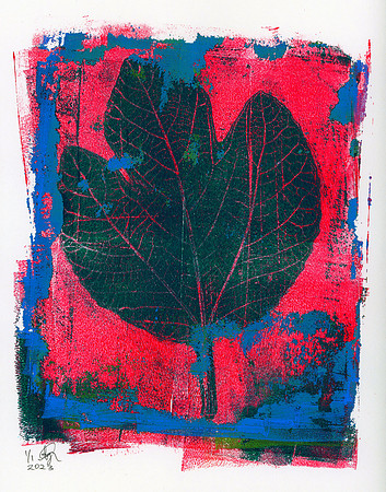 "Fig" / 2023